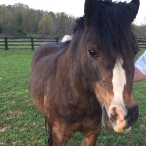 Meet your Posher, Lyla